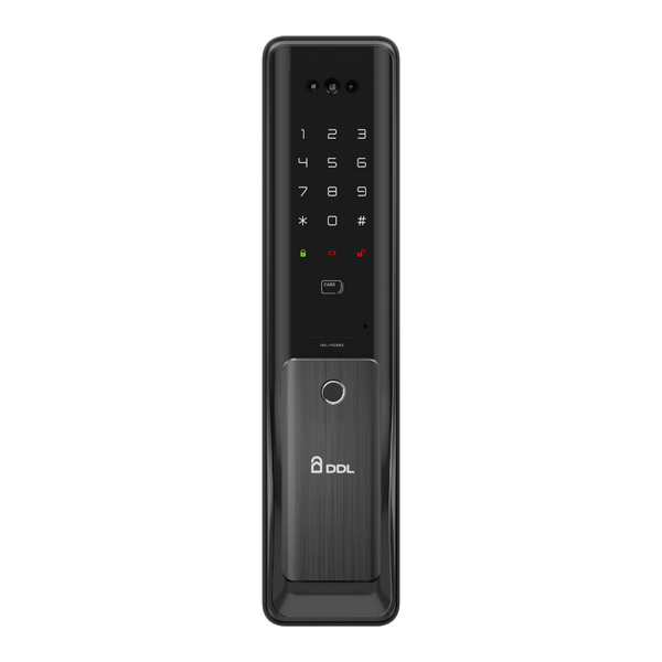 DDL-P6006S